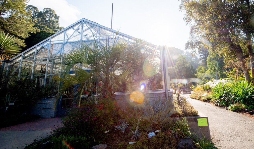 UC Berkeley outdoor scene