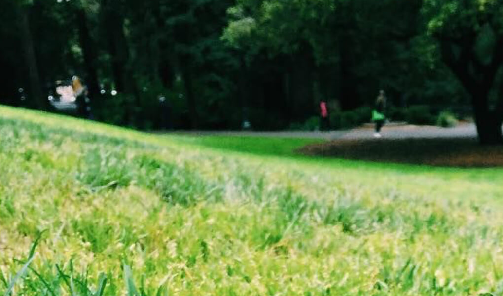 Photo of the 4.0 Hill at UC Berkeley that students roll down at the start of a semester